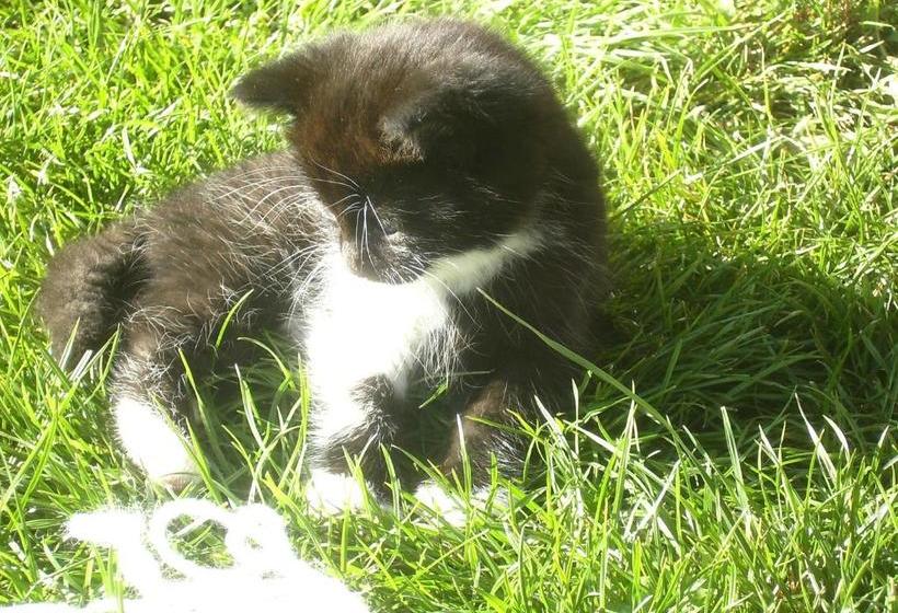 Отель Libiseller Anita Biobauernhof Unterhub