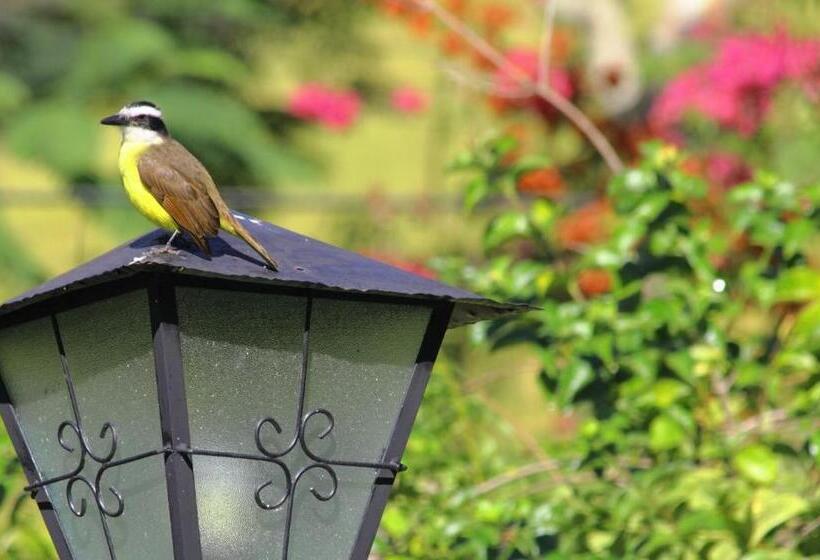 펜션 Pousada Primavera