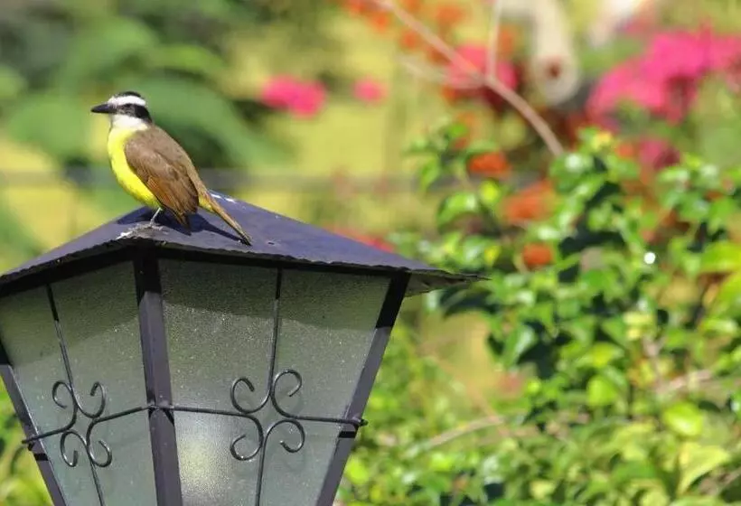 ペンション Pousada Primavera