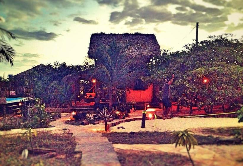 פנסיון Caju Bangalôs