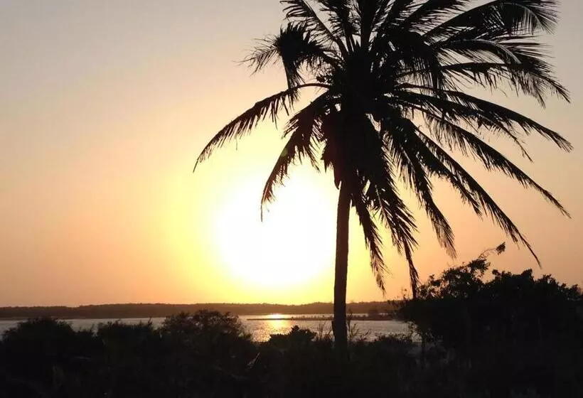 Majatalo Caju Bangalôs