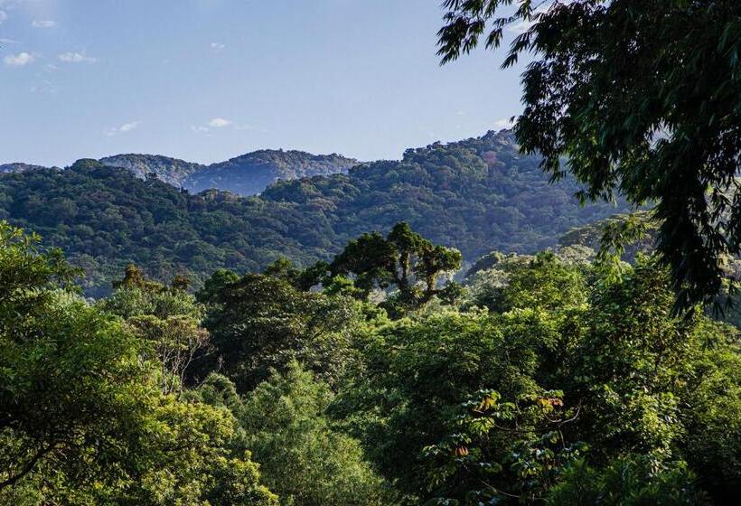 פנסיון Casa Bacarirá Floresta Com Yoga E Café Da Manhã Vegano