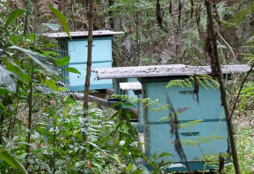 Pensão Aromas Da Serra Ii