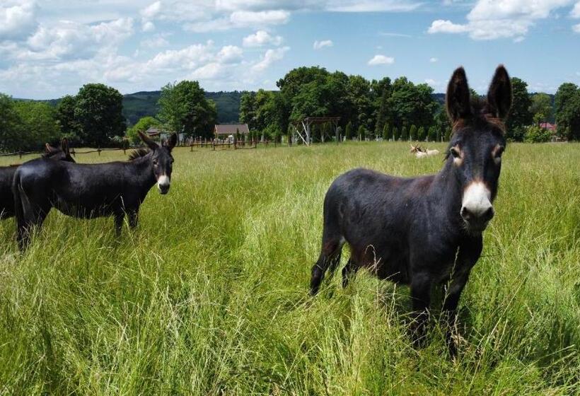 Pensjonat Guest House Magyar Route 66