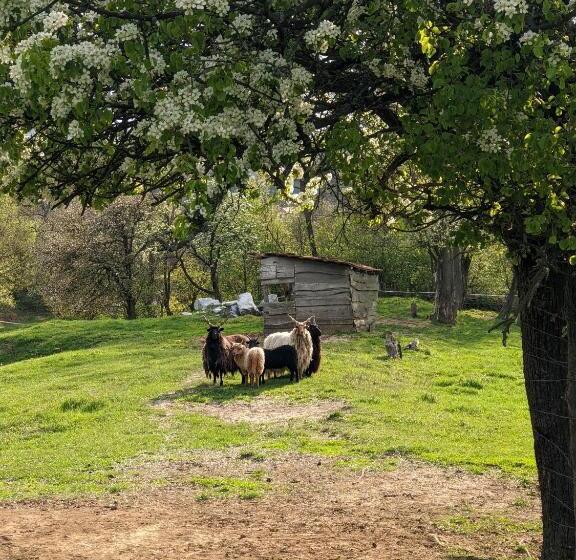 Pensjonat Guest House Magyar Route 66