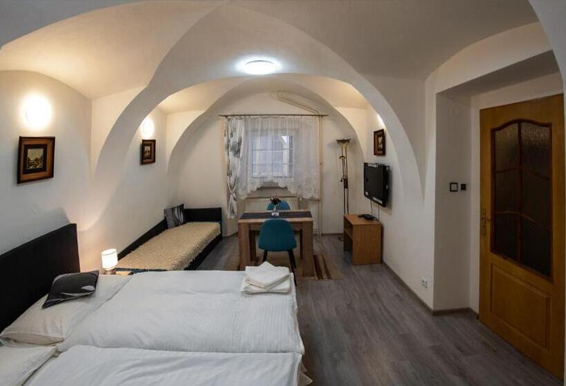 פנסיון Penzion U Hejtmana