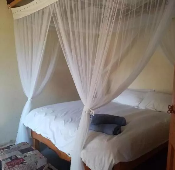 Majatalo Bushwhacked Barberton