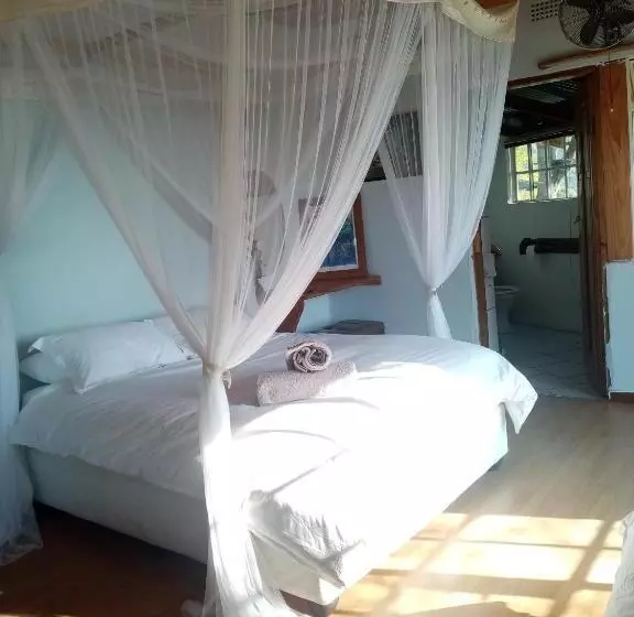 Majatalo Bushwhacked Barberton