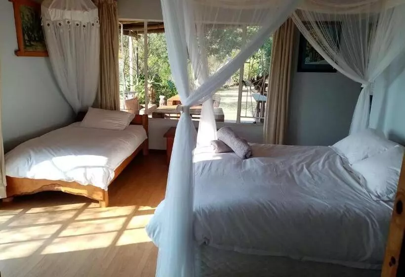 Majatalo Bushwhacked Barberton