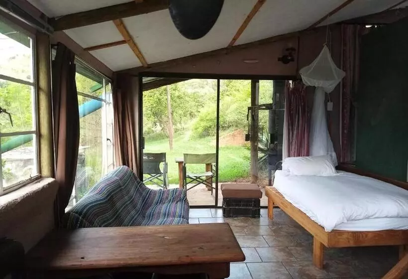 Majatalo Bushwhacked Barberton