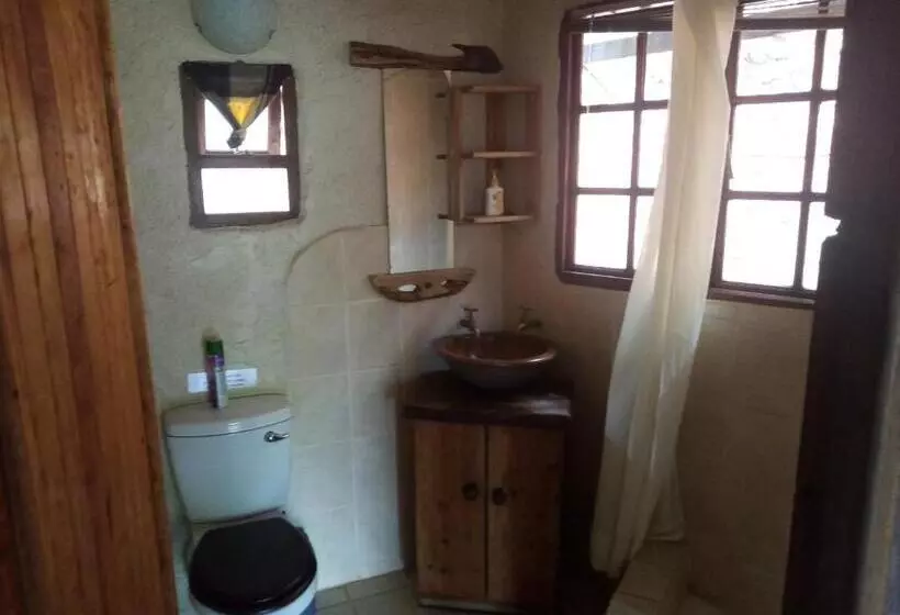 Majatalo Bushwhacked Barberton