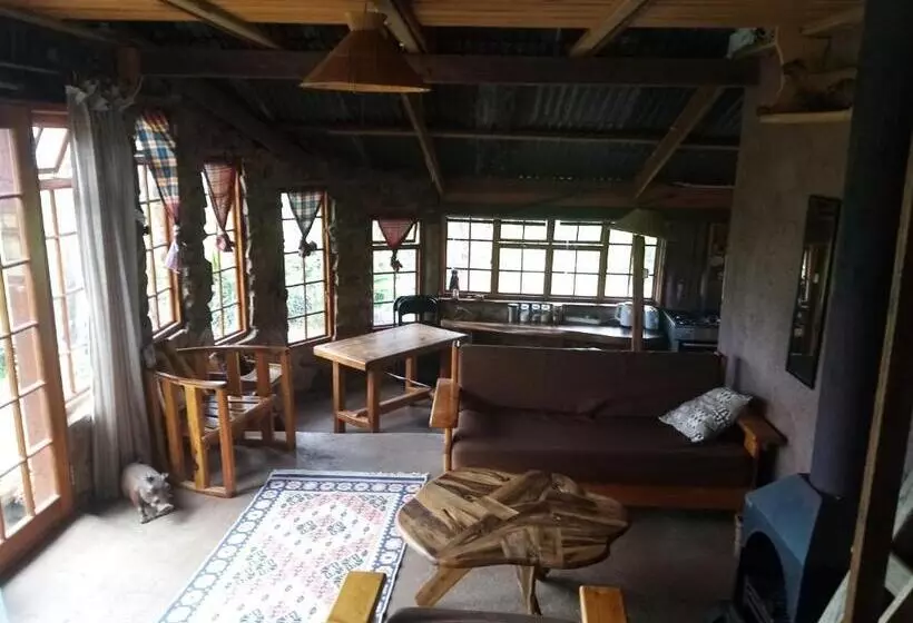 Majatalo Bushwhacked Barberton