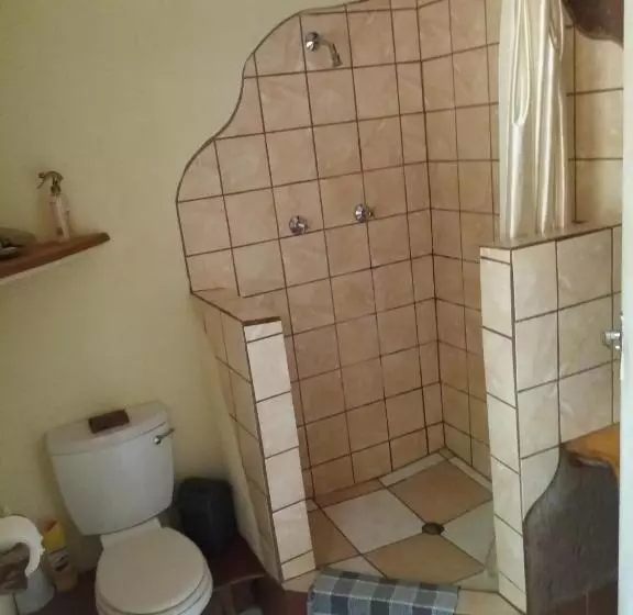 Majatalo Bushwhacked Barberton