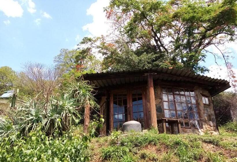 Пансион Bushwhacked Barberton