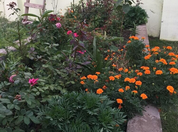 پانسیون Hasanovs Villa