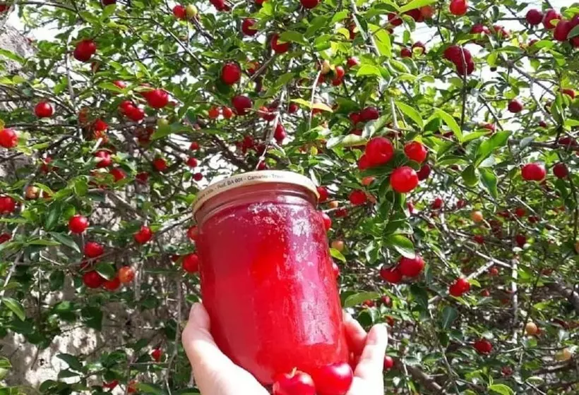 Majatalo Pousada Brisa Del Mar