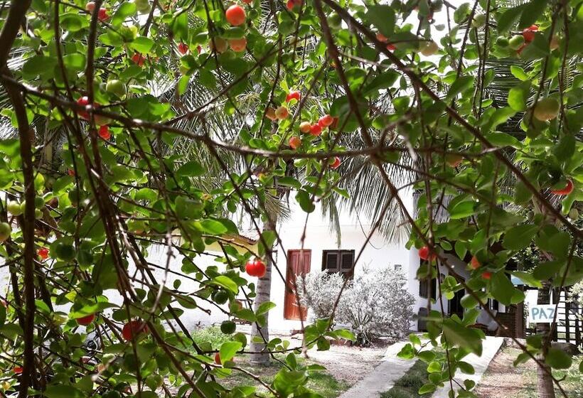 膳宿费 Pousada Brisa Del Mar