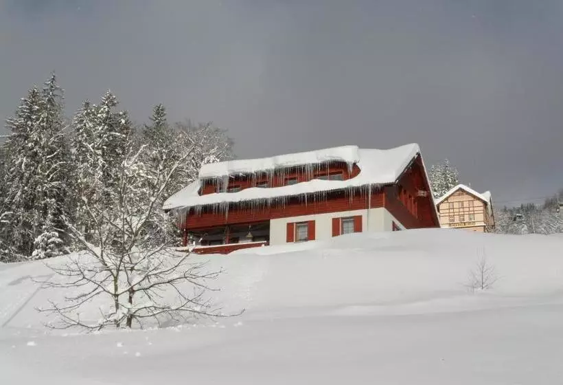 Majatalo Vila Kamila