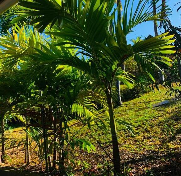 Marina , 2mn à Pieds Plage Boucan Canot