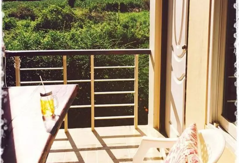 ユースホステル Thorfun Guesthouse In The Garden