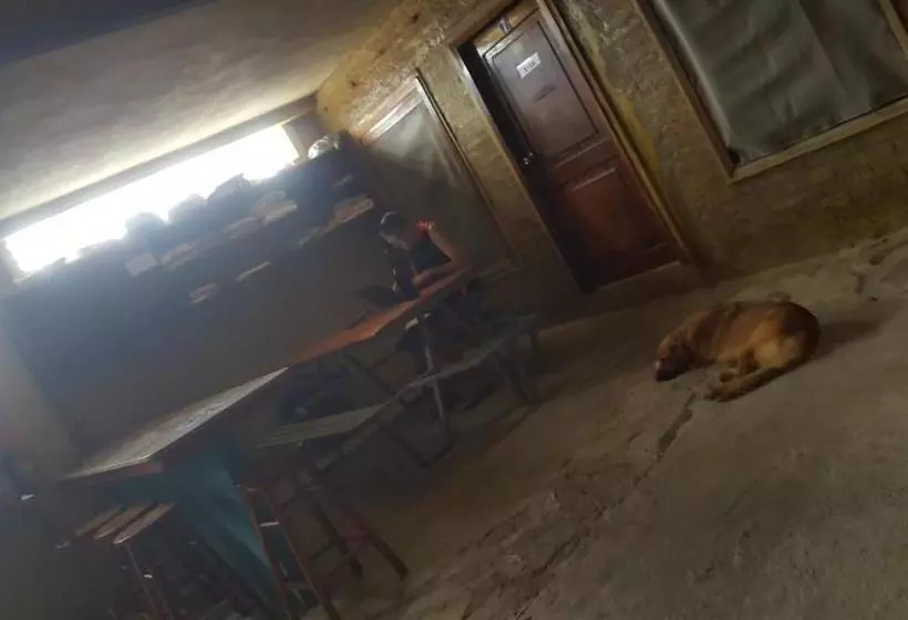 ユースホステル Hospedaje Dannita B&b