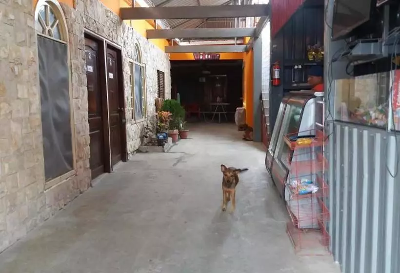 ユースホステル Hospedaje Dannita B&b