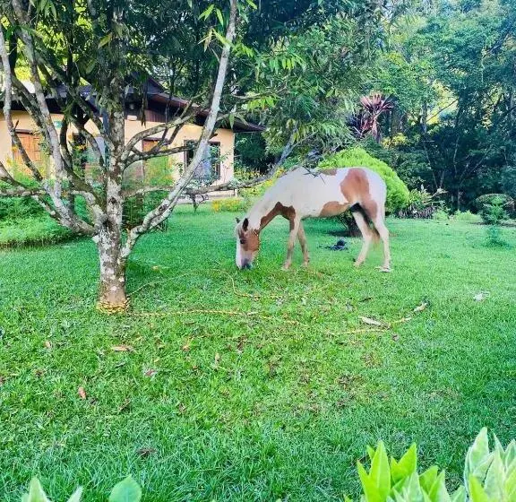 ホテル La Purruja Lodge