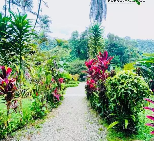 ホテル La Purruja Lodge