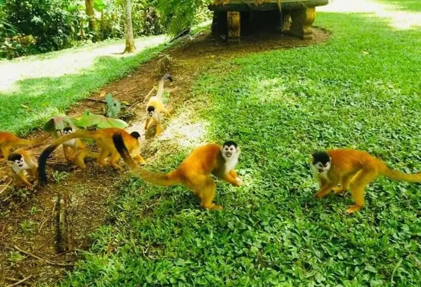 ホテル La Purruja Lodge