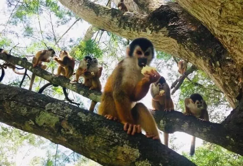 ホテル La Purruja Lodge