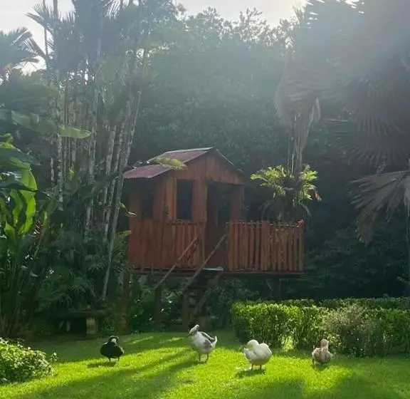 ホテル La Purruja Lodge