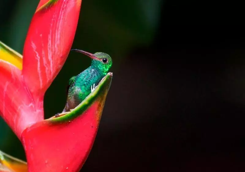 ホテル La Purruja Lodge