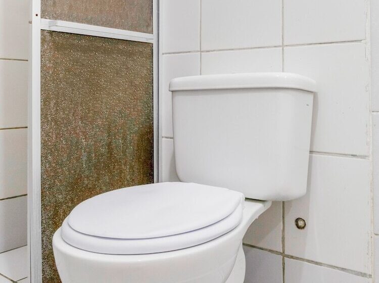 پانسیون Carnauba