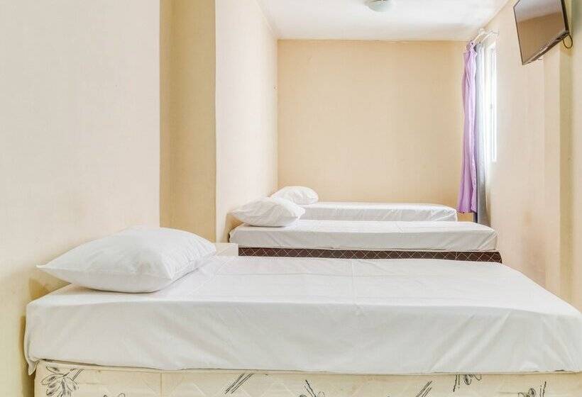 پانسیون Carnauba