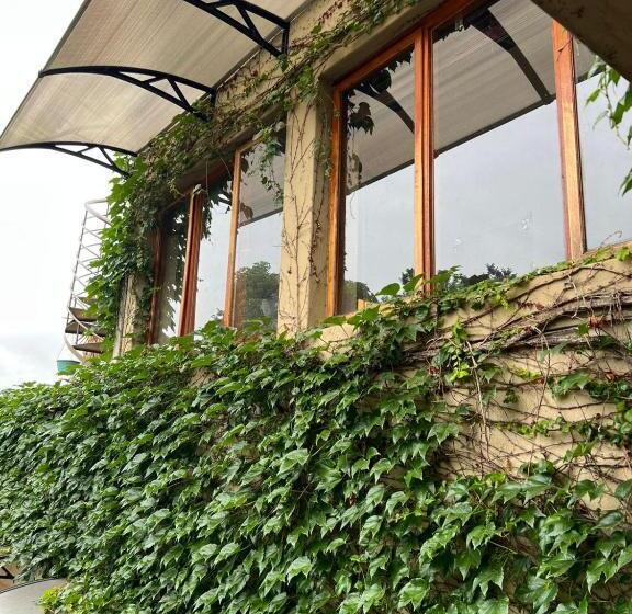 Pension Fernivy Guest House