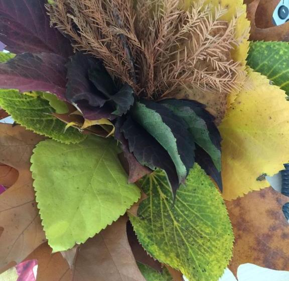 Pensão Il Piccolo Castello Busteni