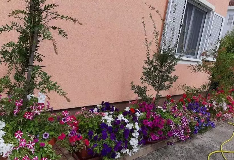 Pension Sobe Nedović