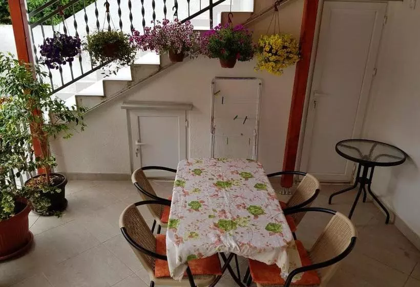 Pension Sobe Nedović