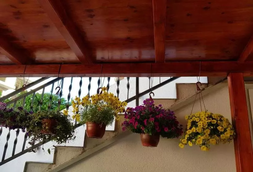 Pension Sobe Nedović