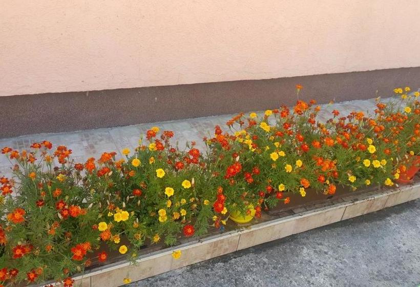 پانسیون Sobe Nedović