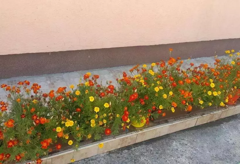 Pension Sobe Nedović