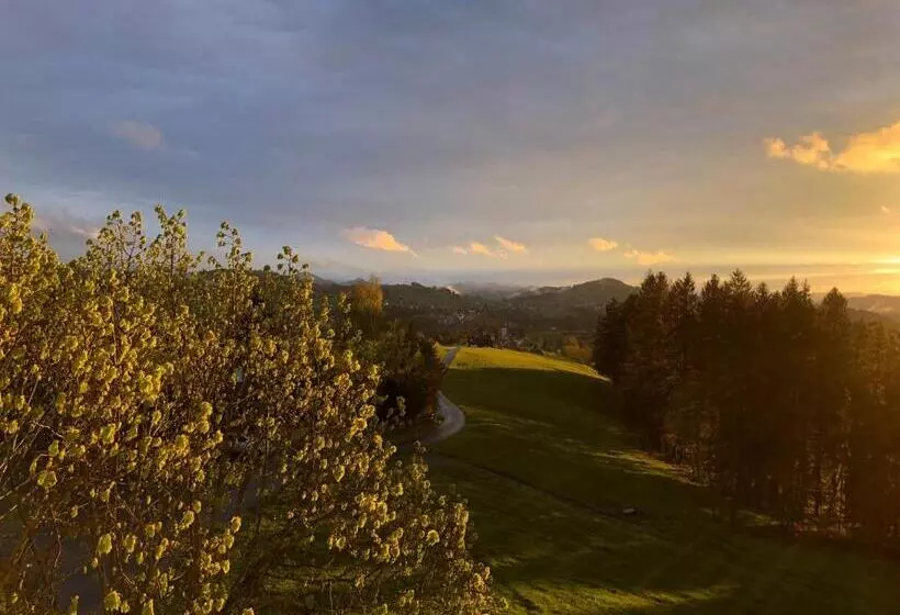Retkeilymaja Hirschen Wald   Gasthaus & Bäckerei
