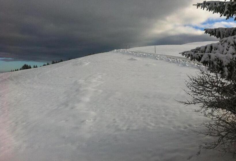 Albergue Hirschen Wald Gasthaus & Bäckerei
