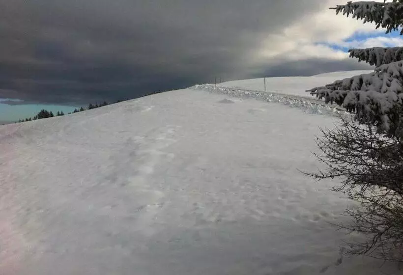 Retkeilymaja Hirschen Wald   Gasthaus & Bäckerei