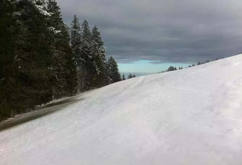Retkeilymaja Hirschen Wald   Gasthaus & Bäckerei