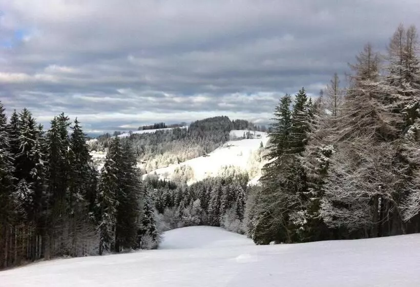Retkeilymaja Hirschen Wald   Gasthaus & Bäckerei