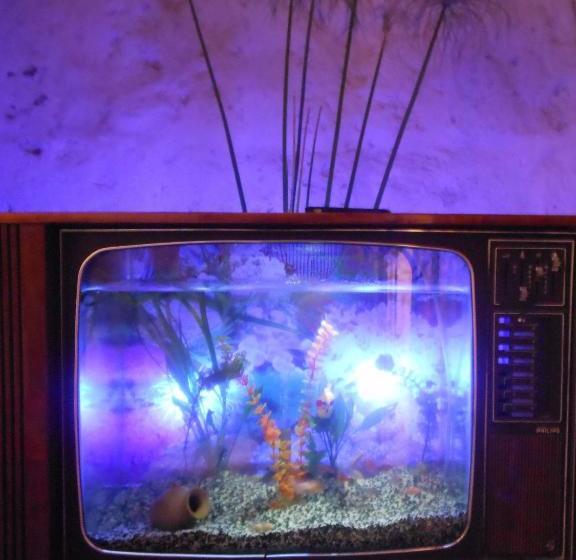 호스텔 Bubamara Bolivar