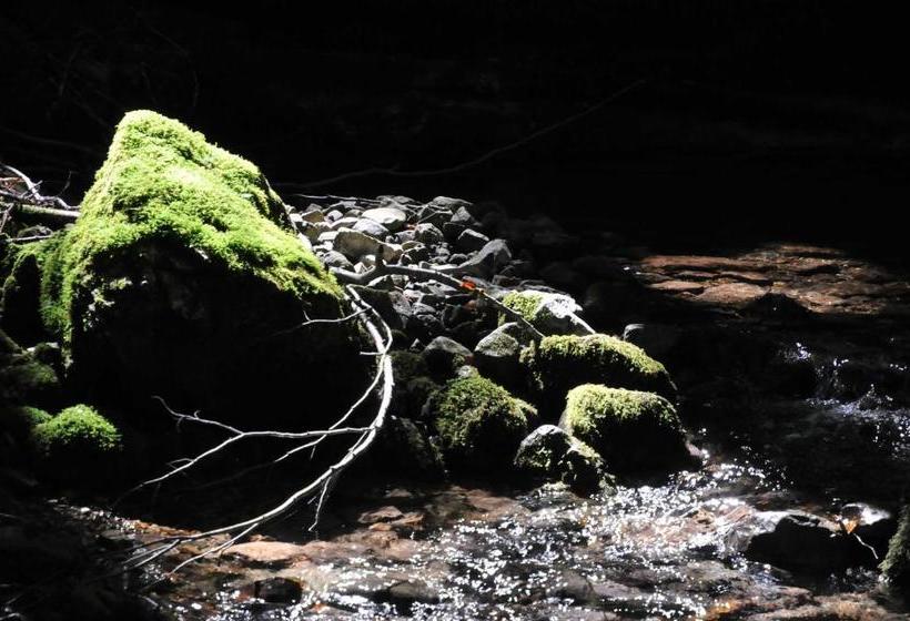 ホテル Bauernhof Unterhöfner