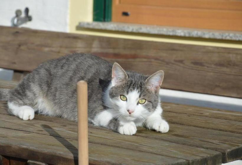 ホテル Bauernhof Unterhöfner