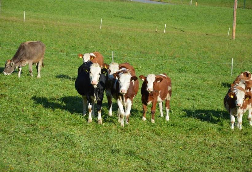 ホテル Bauernhof Unterhöfner